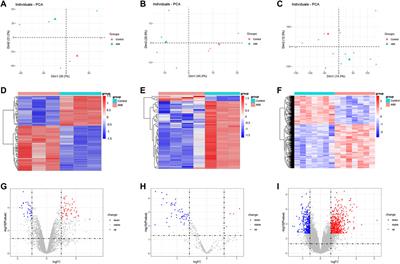 Construction and Bioinformatics Analysis of circRNA-miRNA-mRNA Network in Acute Myocardial Infarction